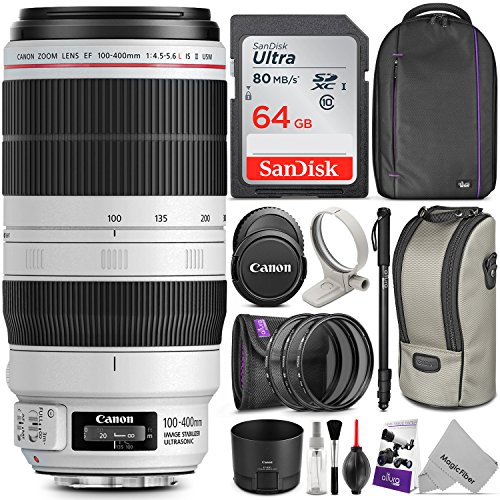 Camera Accessories